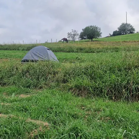 Les Insolites De Campsite Biriatou