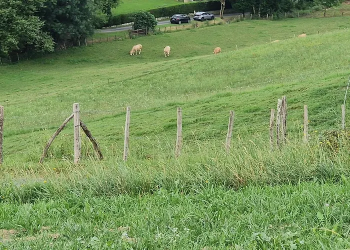 Camping Les Insolites De