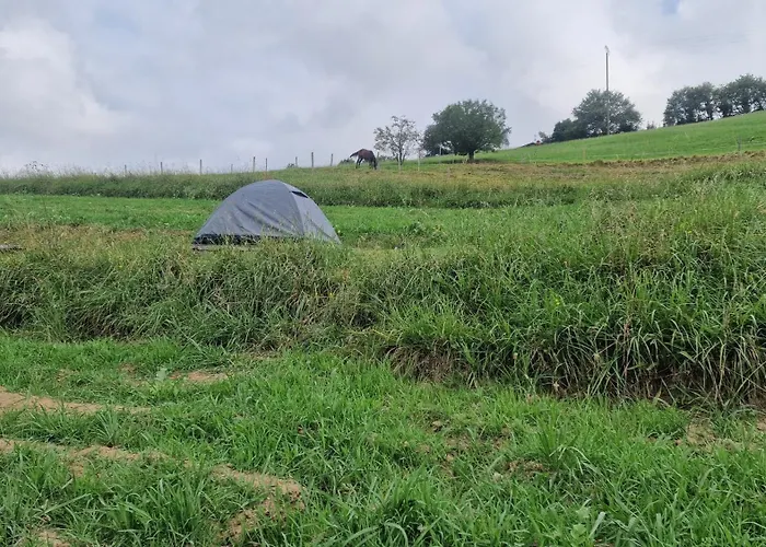 Les Insolites De Camping Biriatou